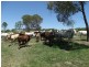 69 Boughtons Road, Bucca QLD 4670