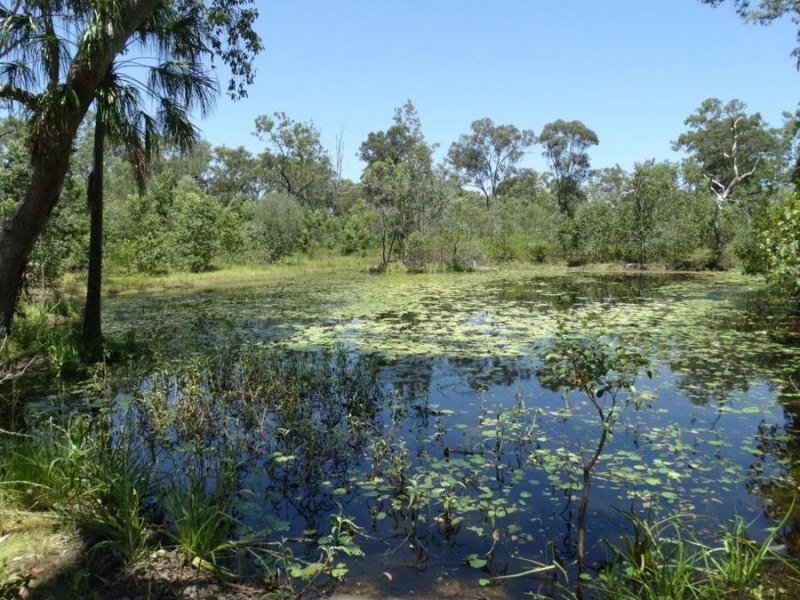 Lowmead Road, Lowmead QLD 4676