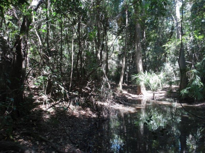 Lowmead Road, Lowmead QLD 4676