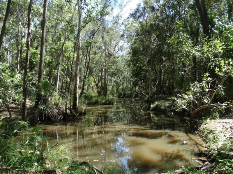 Lowmead Road, Lowmead QLD 4676
