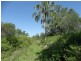 Lowmead Road, Lowmead QLD 4676