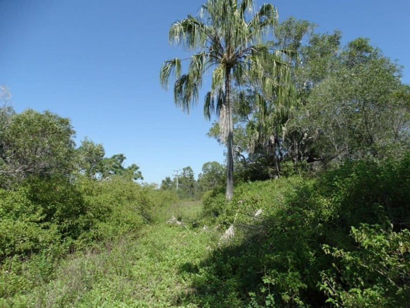 Lowmead Road, Lowmead QLD 4676