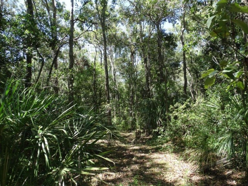 Lowmead Road, Lowmead QLD 4676