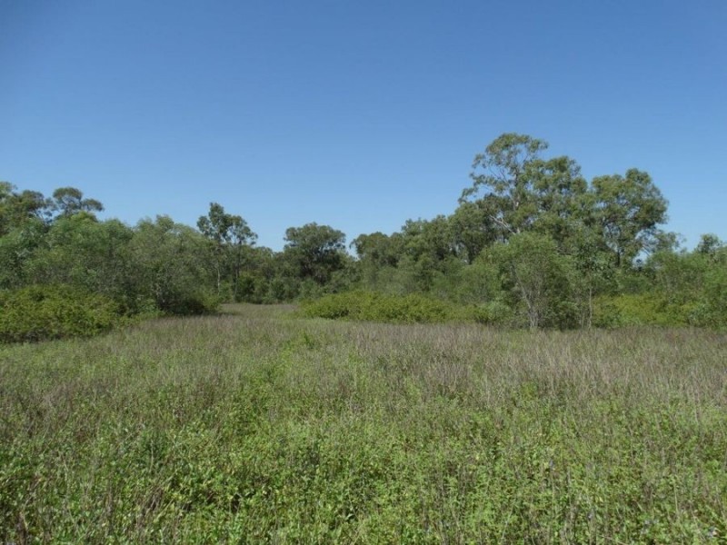 Lowmead Road, Lowmead QLD 4676