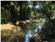 Lowmead Road, Lowmead QLD 4676