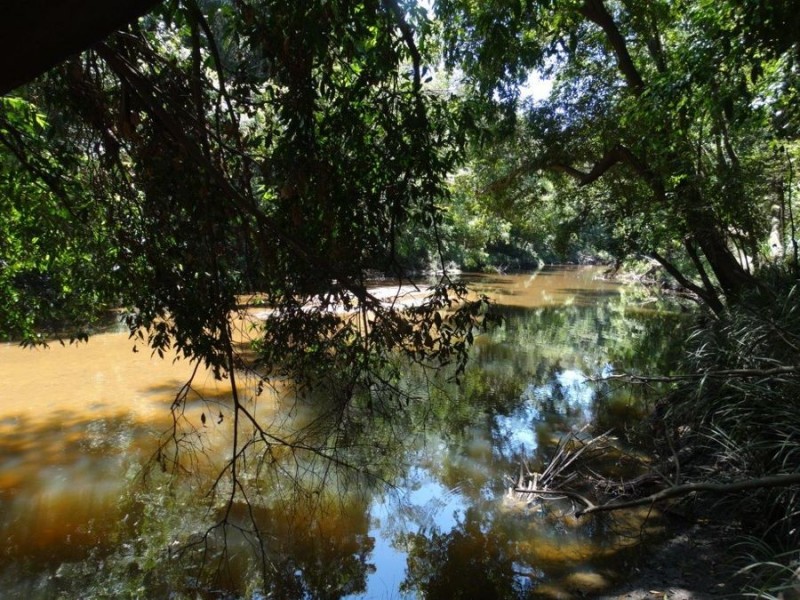 Lowmead Road, Lowmead QLD 4676