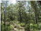 Lowmead Road, Lowmead QLD 4676