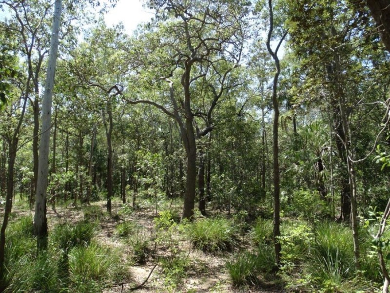Lowmead Road, Lowmead QLD 4676