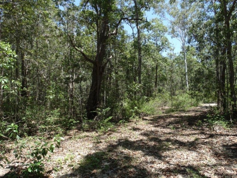 Lowmead Road, Lowmead QLD 4676
