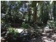 Lowmead Road, Lowmead QLD 4676