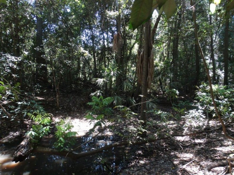 Lowmead Road, Lowmead QLD 4676