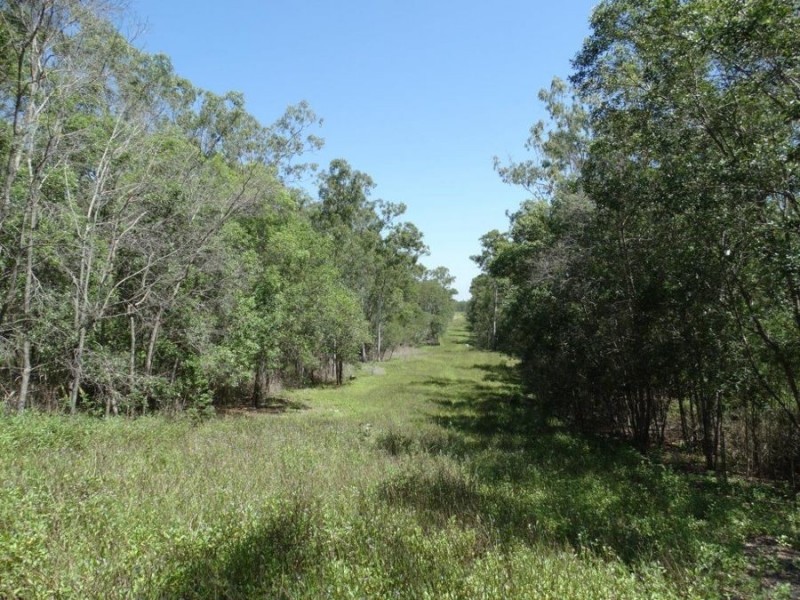Lowmead Road, Lowmead QLD 4676