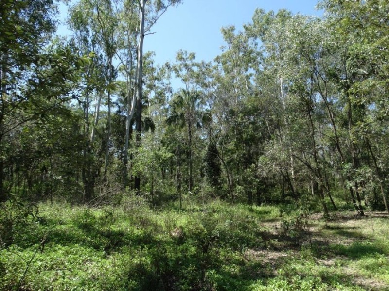 Lowmead Road, Lowmead QLD 4676
