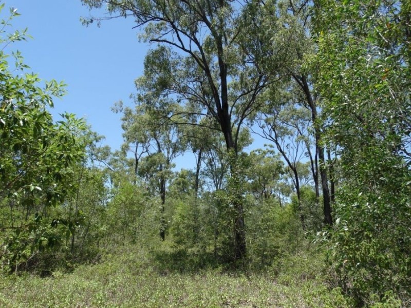 Lowmead Road, Lowmead QLD 4676