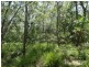 Lowmead Road, Lowmead QLD 4676