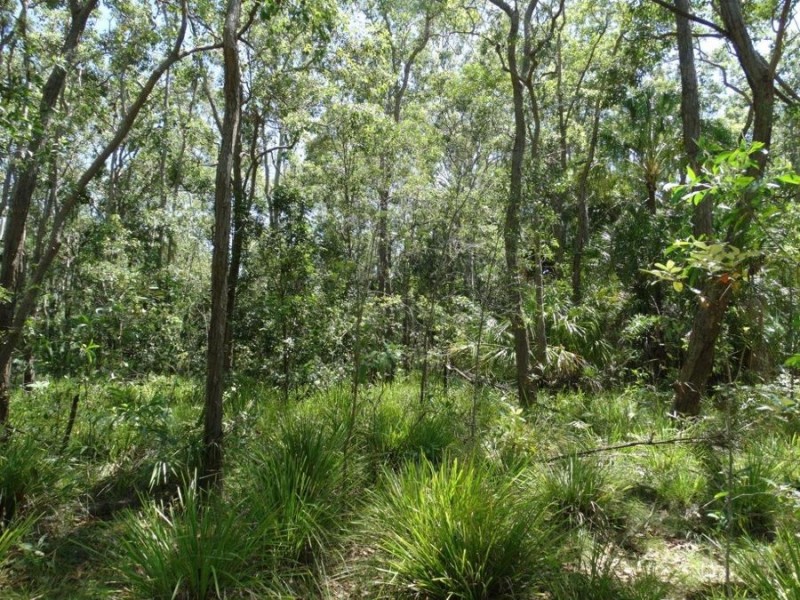 Lowmead Road, Lowmead QLD 4676