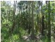 Lowmead Road, Lowmead QLD 4676