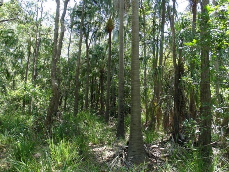 Lowmead Road, Lowmead QLD 4676