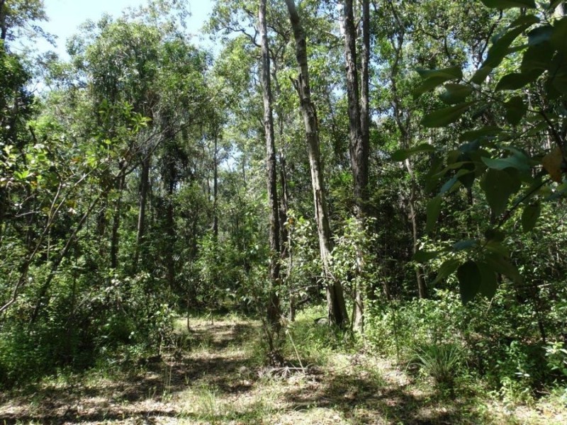 Lowmead Road, Lowmead QLD 4676