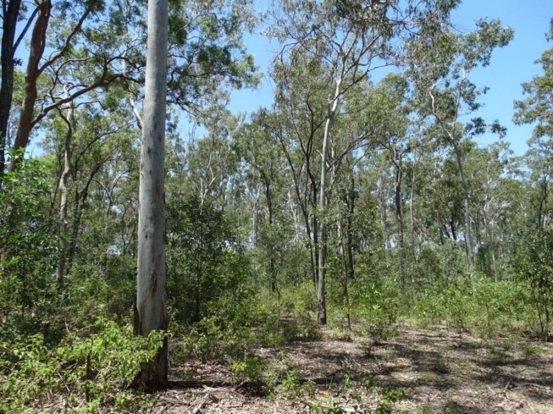 Lowmead Road, Lowmead QLD 4676