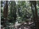Lowmead Road, Lowmead QLD 4676