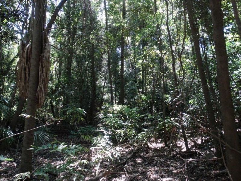 Lowmead Road, Lowmead QLD 4676