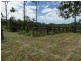 602 Taunton Road, Taunton QLD 4674