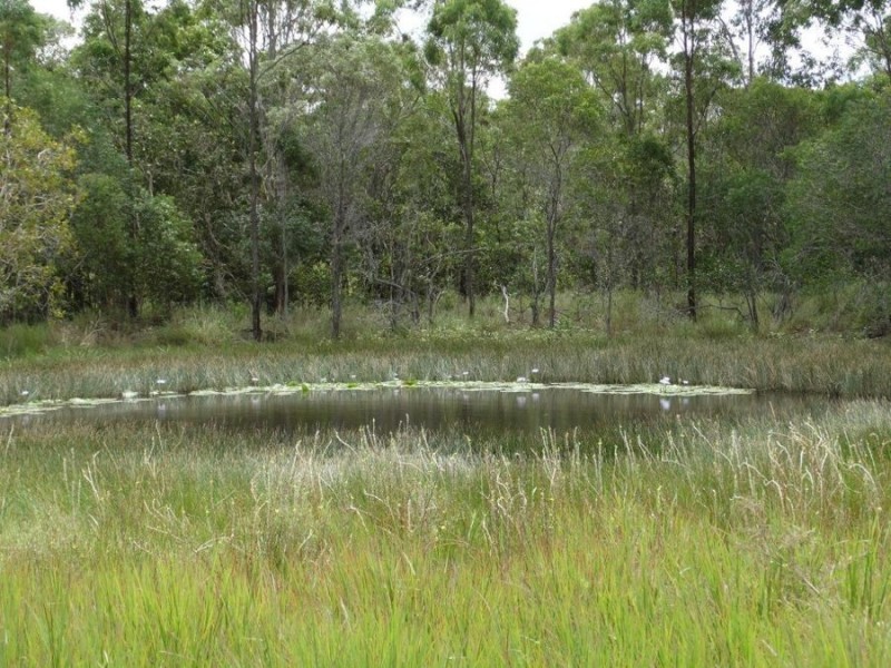 602 Taunton Road, Taunton QLD 4674