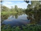 43 Stegemans Road, Rosedale QLD 4674
