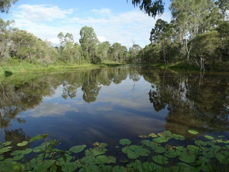 43 Stegemans Road, Rosedale QLD 4674