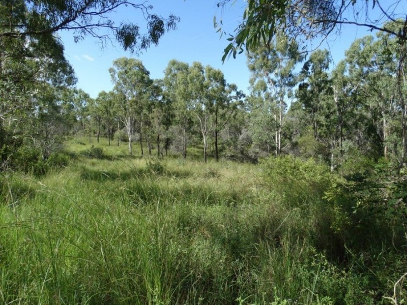 43 Stegemans Road, Rosedale QLD 4674