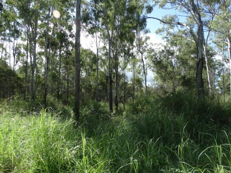 43 Stegemans Road, Rosedale QLD 4674
