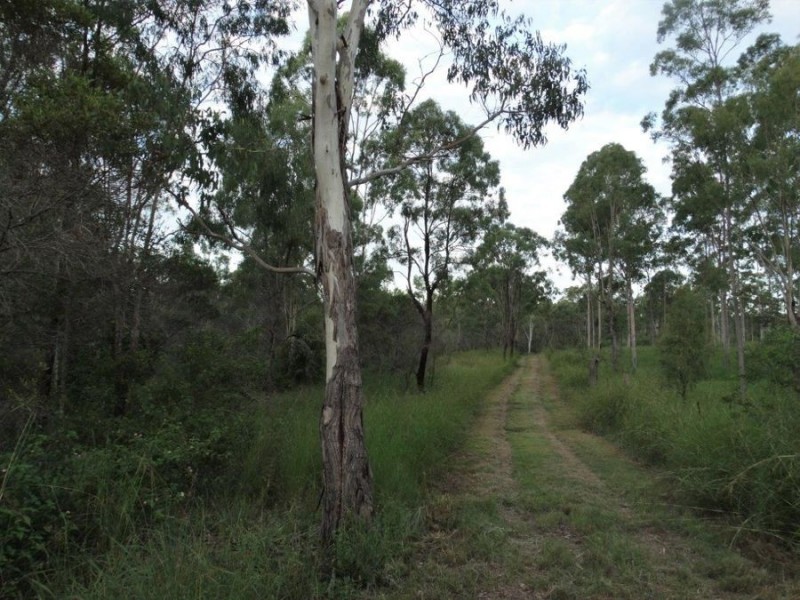 43 Stegemans Road, Rosedale QLD 4674