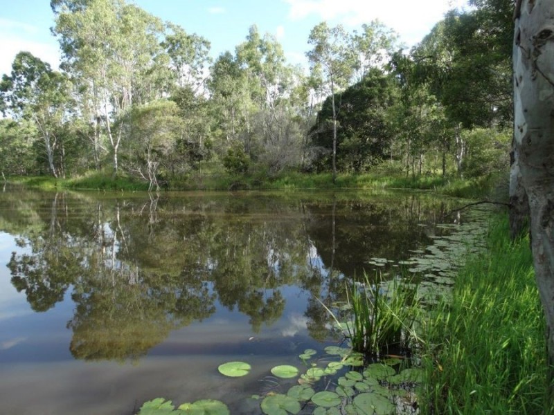 43 Stegemans Road, Rosedale QLD 4674