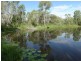 43 Stegemans Road, Rosedale QLD 4674