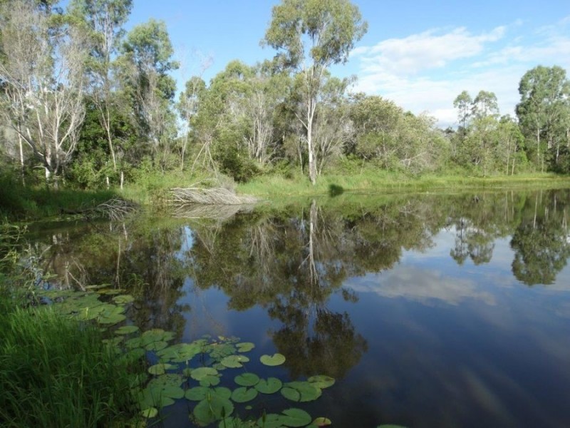 43 Stegemans Road, Rosedale QLD 4674