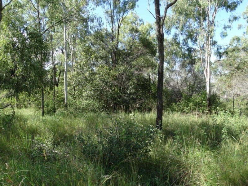 43 Stegemans Road, Rosedale QLD 4674