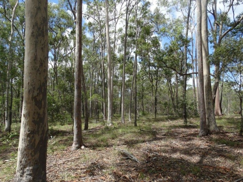 714 Cross Road, Euleilah QLD 4674