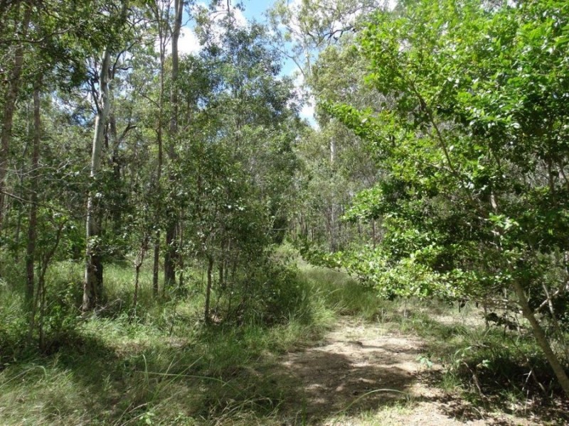 714 Cross Road, Euleilah QLD 4674