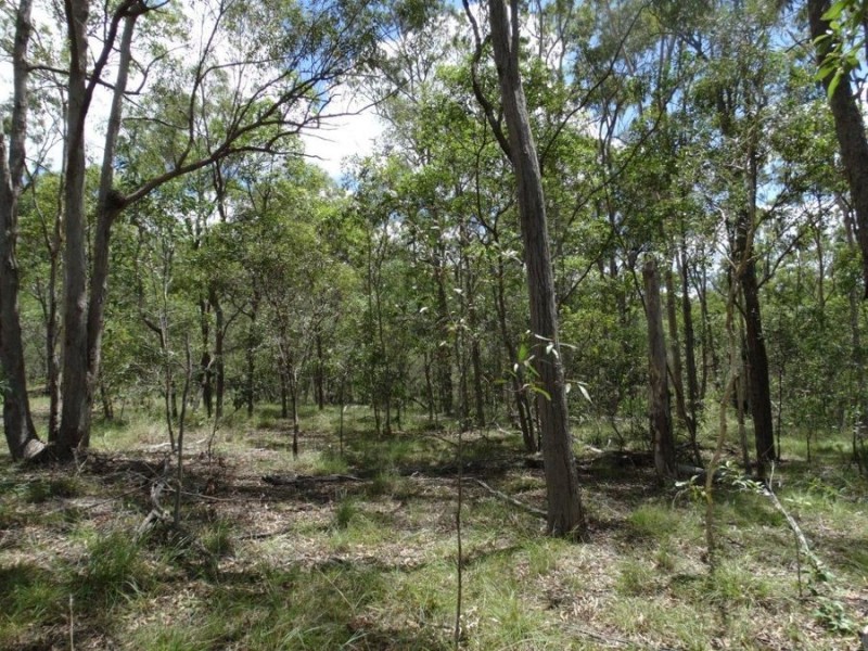 714 Cross Road, Euleilah QLD 4674