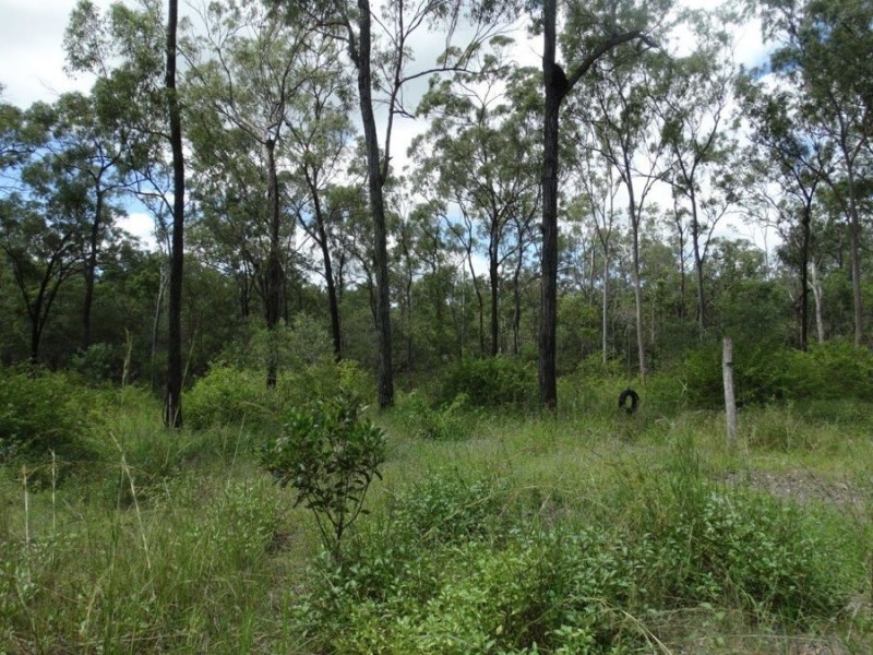 714 Cross Road, Euleilah QLD 4674