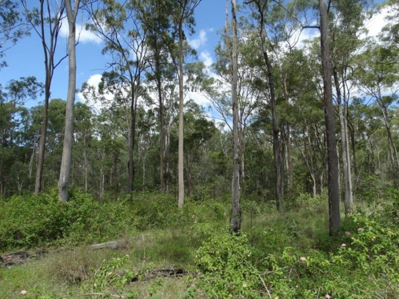 714 Cross Road, Euleilah QLD 4674