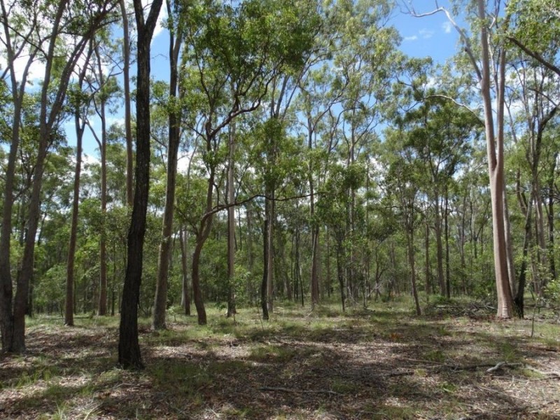 714 Cross Road, Euleilah QLD 4674