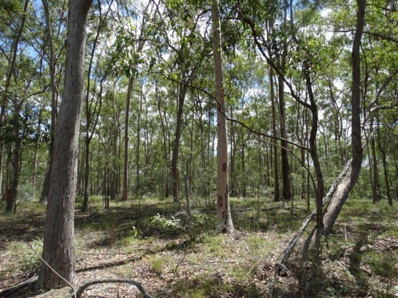 714 Cross Road, Euleilah QLD 4674