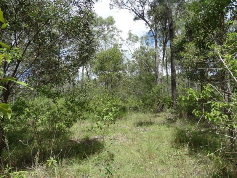 714 Cross Road, Euleilah QLD 4674