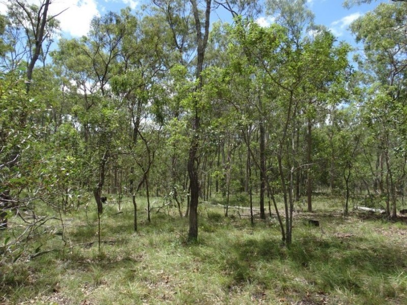 714 Cross Road, Euleilah QLD 4674