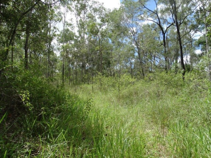 714 Cross Road, Euleilah QLD 4674