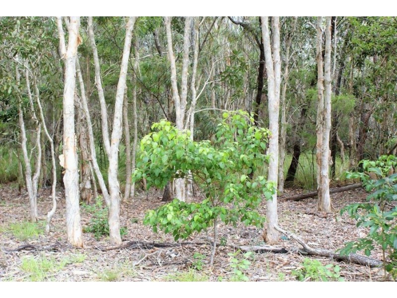 263 Fingerfield Road, Rules Beach QLD 4674