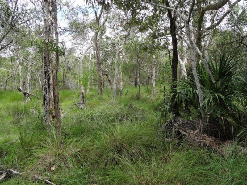 263 Fingerfield Road, Rules Beach QLD 4674