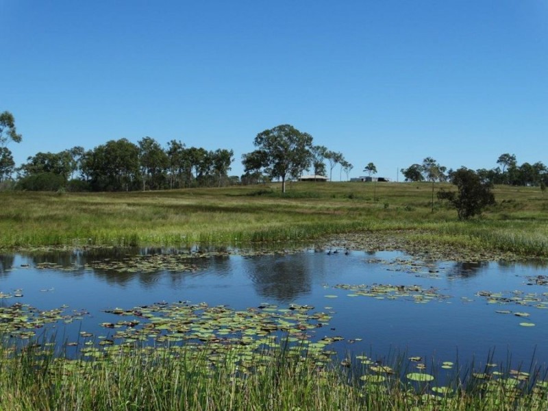 192 Neils Road, Rosedale QLD 4674